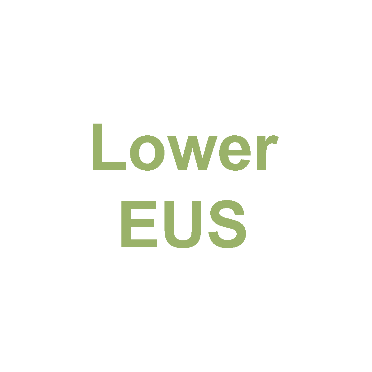 Lower EUS