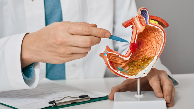 Gastroenterologist pointing to a stomach model