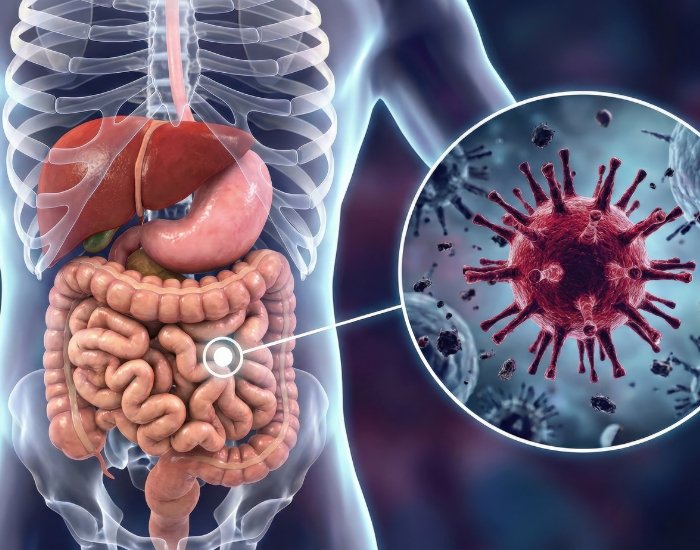 Common Digestive Problems Treated by Gastroenterologists in Cypress Gastroenterologist in Cypress TX