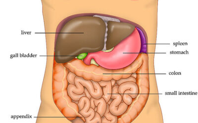Pain in Abdomen Above Belly Button: Causes, Symptoms, and When to Seek Care