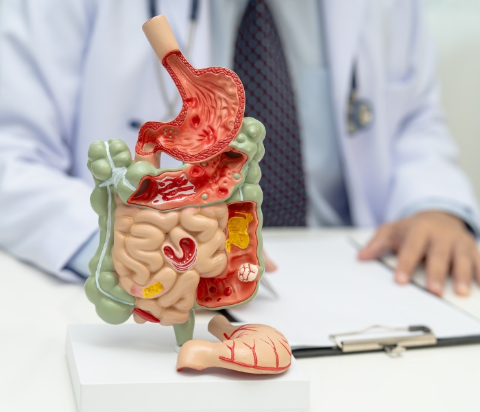 gastroenterologist for persistent nausea