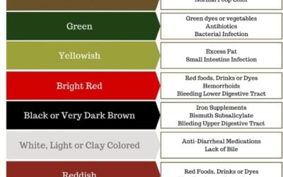 Stool Color Chart: What Different Stool Colors May Mean