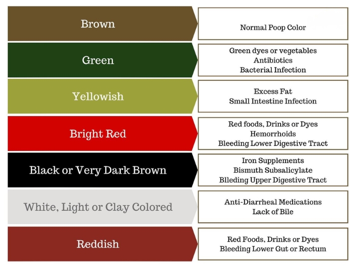 stool color chart abnormal stool color